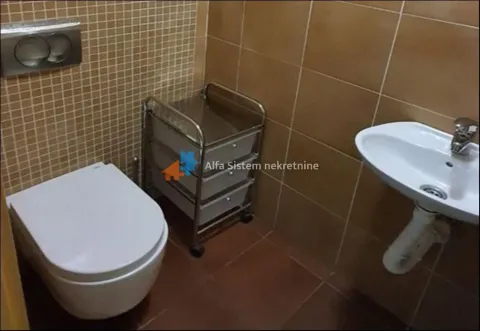 Rent, three bedroom apartment, 86m², Vračar Hram, Vračar Sve Podlokacije - image 12