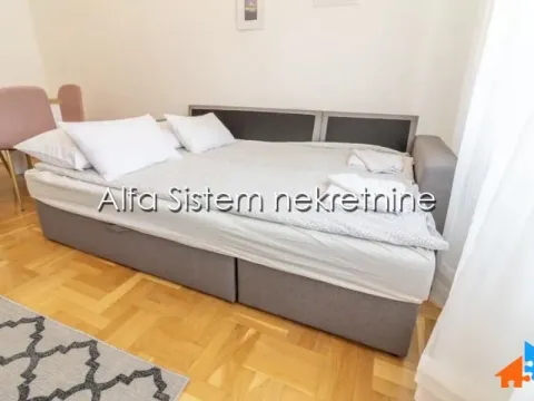 Rent, two bedroom apartment, 45m², Lion, Zvezdara Sve Podlokacije - image 2