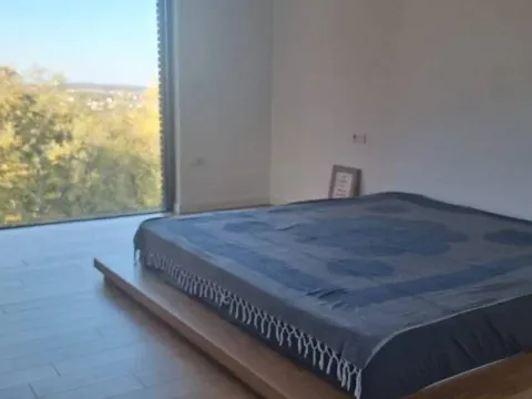 Izdavanje, trosoban stan, 330m², Voždovac Sve Podlokacije, Beograd - image 7