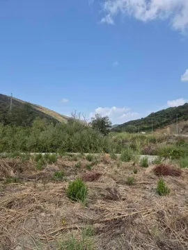 Pogled na zemljište sa rastinjem i okolnim brdima. - image 5