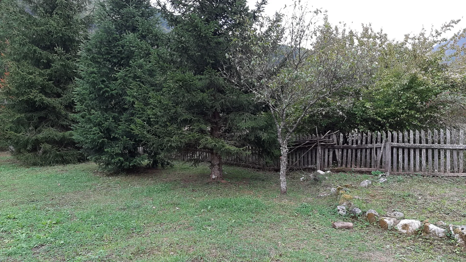 Prodaja, plac, 4000m², Dobrilovina, Mojkovac