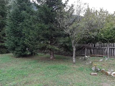 Prodaja, plac, 4000m², Dobrilovina, Mojkovac - image 3