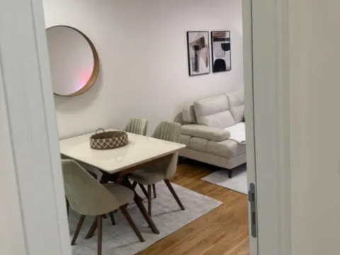 Izdavanje, jednosoban stan, 47m², Central Point, Podgorica - image 4