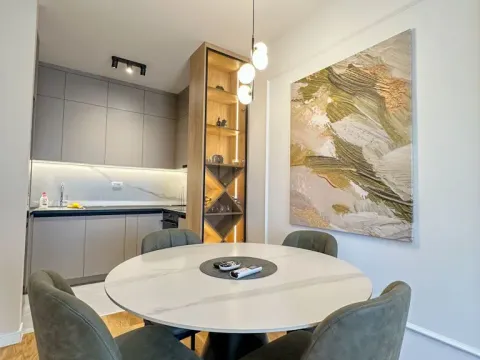 Izdavanje, jednosoban stan, 50m², Central Point, Podgorica - image 3