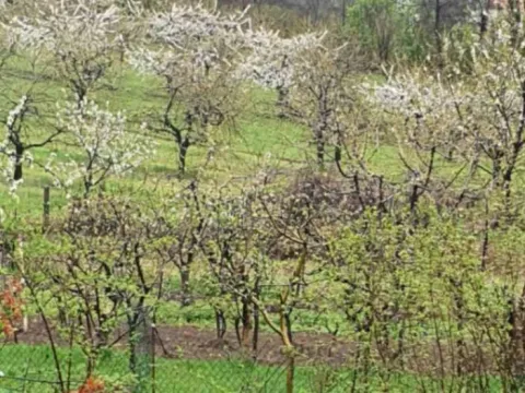 Rent, house, 51m², Ritopek, Grocka - image 7