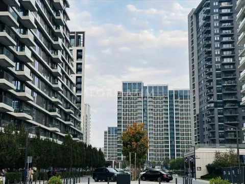 Prodaja, trosoban stan, 79m², Savski Venac, Beograd - image 10