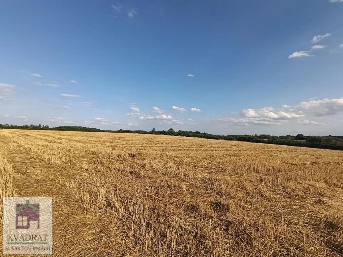 Prodaja, plac, 26300m², Trstenica, Obrenovac