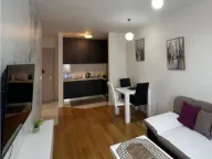 Izdavanje, jednosoban stan, 40m², Central Point, Podgorica - image 4