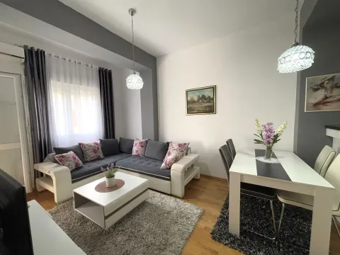 Rent, one bedroom apartment, 45m², Zabjelo, Podgorica - image 3