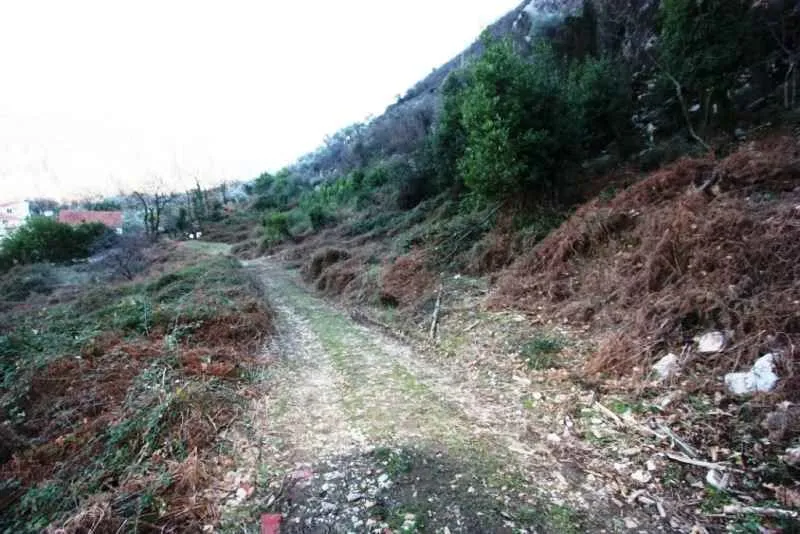 Zemljište sa seoskim putem i rastinjem.