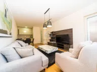 Izdavanje, jednosoban stan, 49m², Central Point, Podgorica - image 1