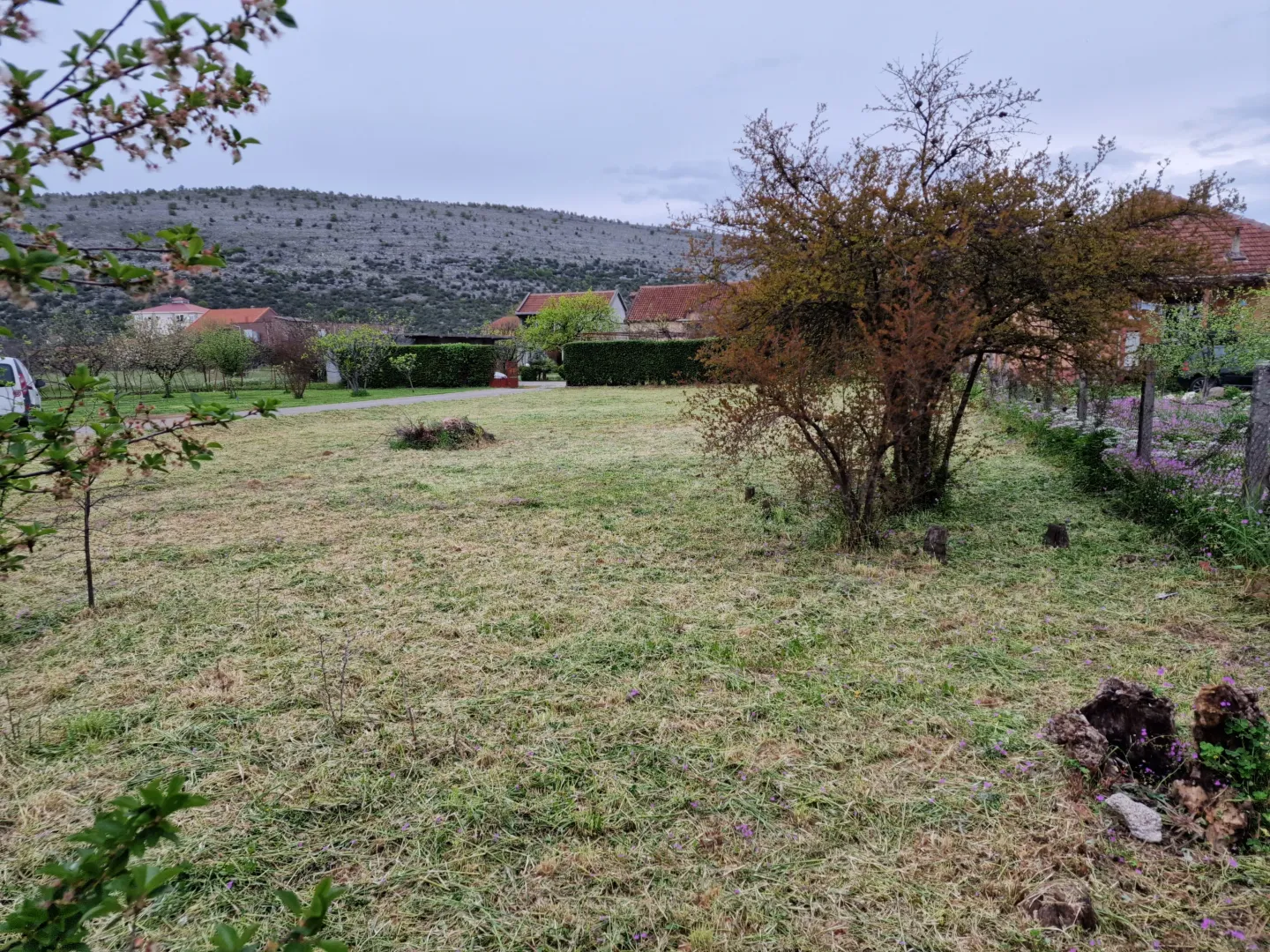 Prostrano seosko dvorište sa travnjakom i voćnjakom.