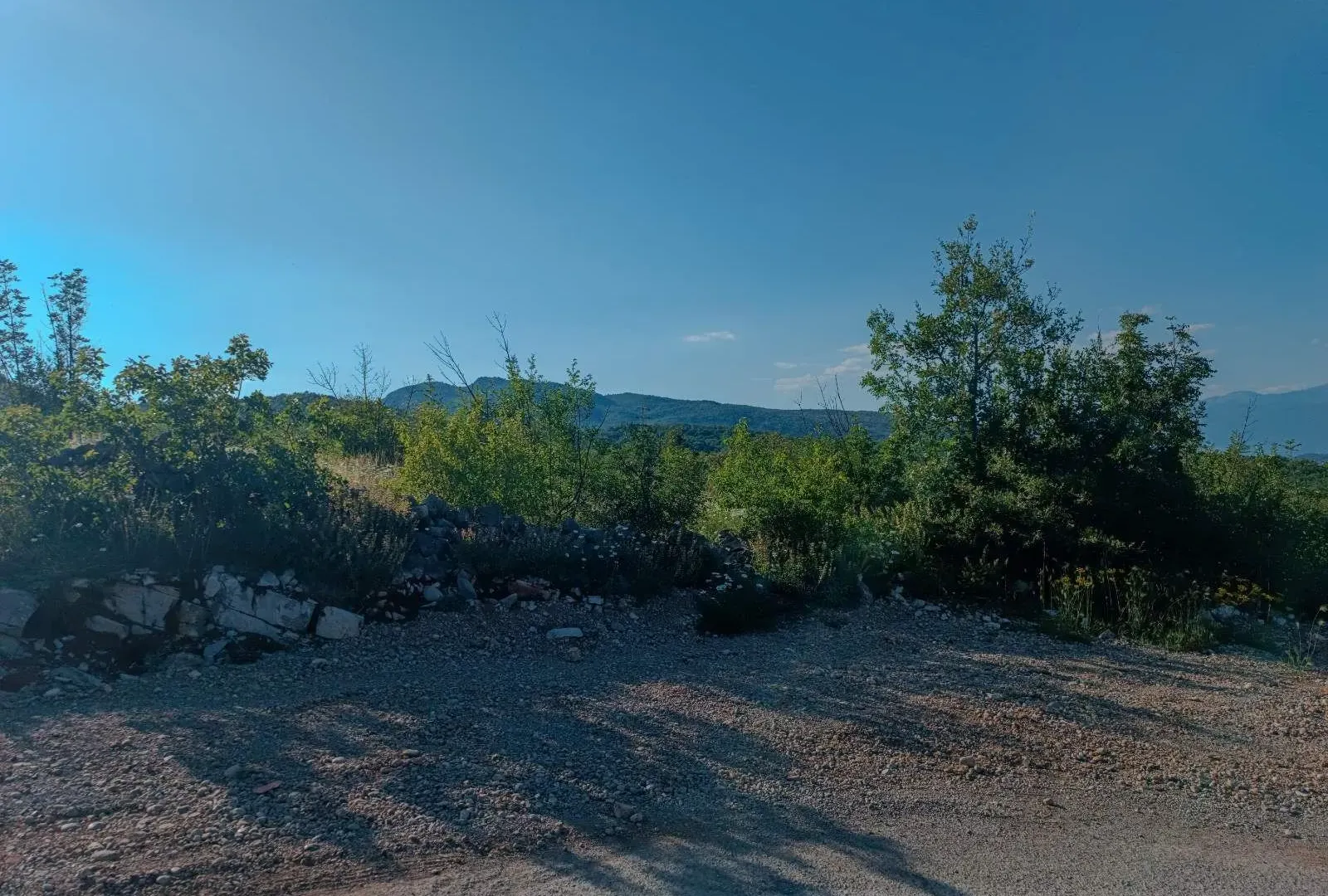 Prodaja, plac, 30962m², Podgorica, Crna Gora