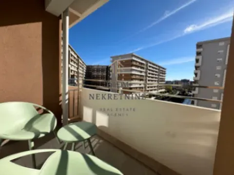 Izdavanje, jednosoban stan, 47m², Central Point, Podgorica - image 3