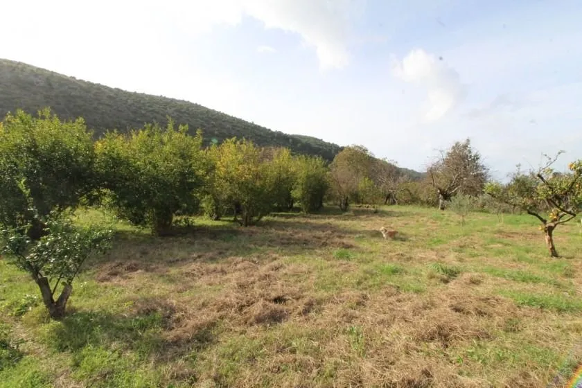 Prodaja, kuća, 106m², Polje, Bar