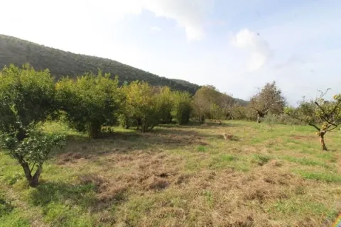 Prodaja, kuća, 106m², Polje, Bar - image 10