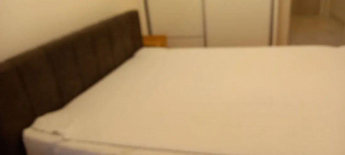 Izdavanje, jednosoban stan, 47m², Central Point, Podgorica