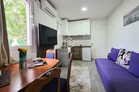 Rent, one bedroom apartment, 36m², Donja Gorica, Podgorica - image 2