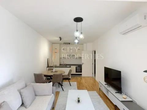 Izdavanje, stan, 64m², Stari Aerodrom, Podgorica - image 13