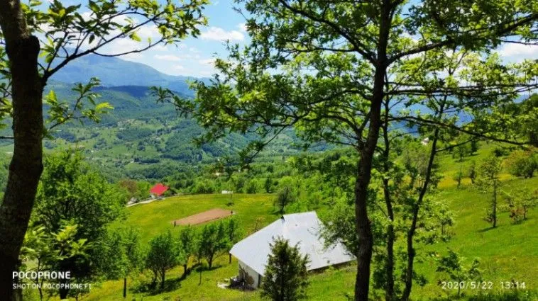 Sale, land lot, 30905m², Lepenac, Mojkovac