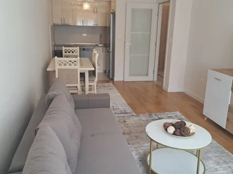 Rent, one bedroom apartment, 47m², New City, Podgorica - image 5