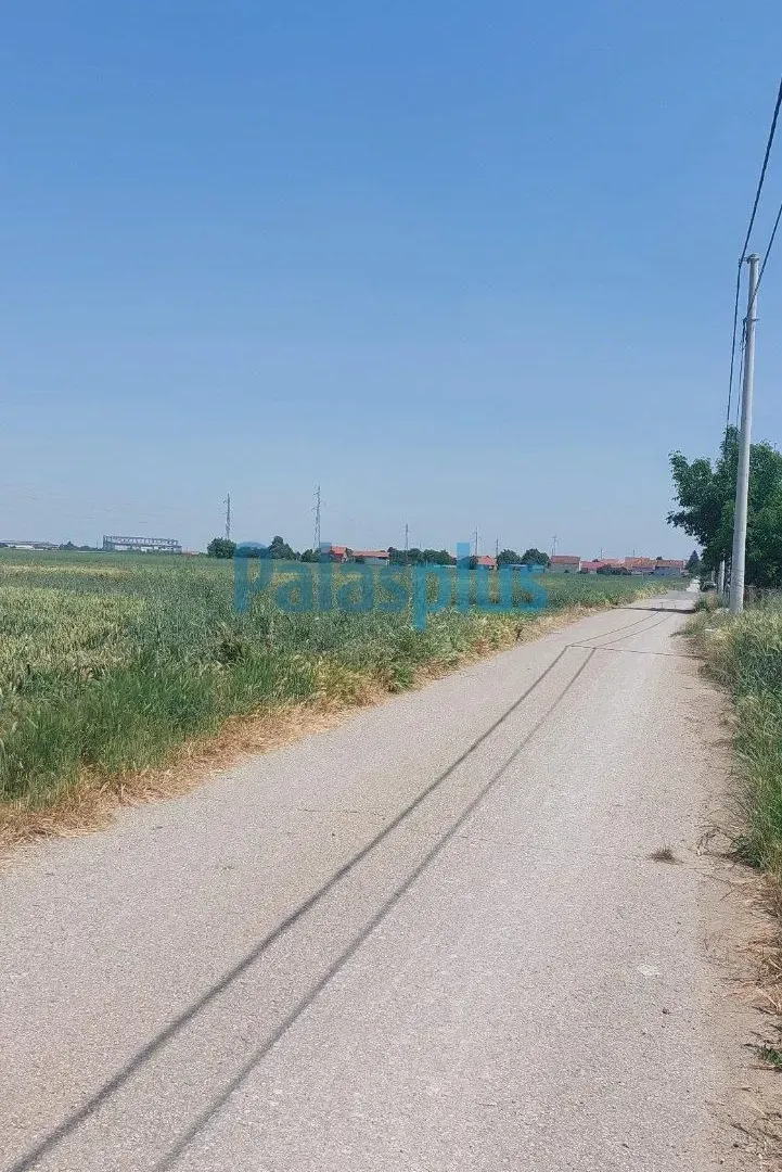 Prodaja, plac, 3000m², Surčin, Beograd