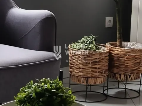 Izdavanje, dvosoban stan, 55m², Vojvode Vlahovica, Beograd - image 12