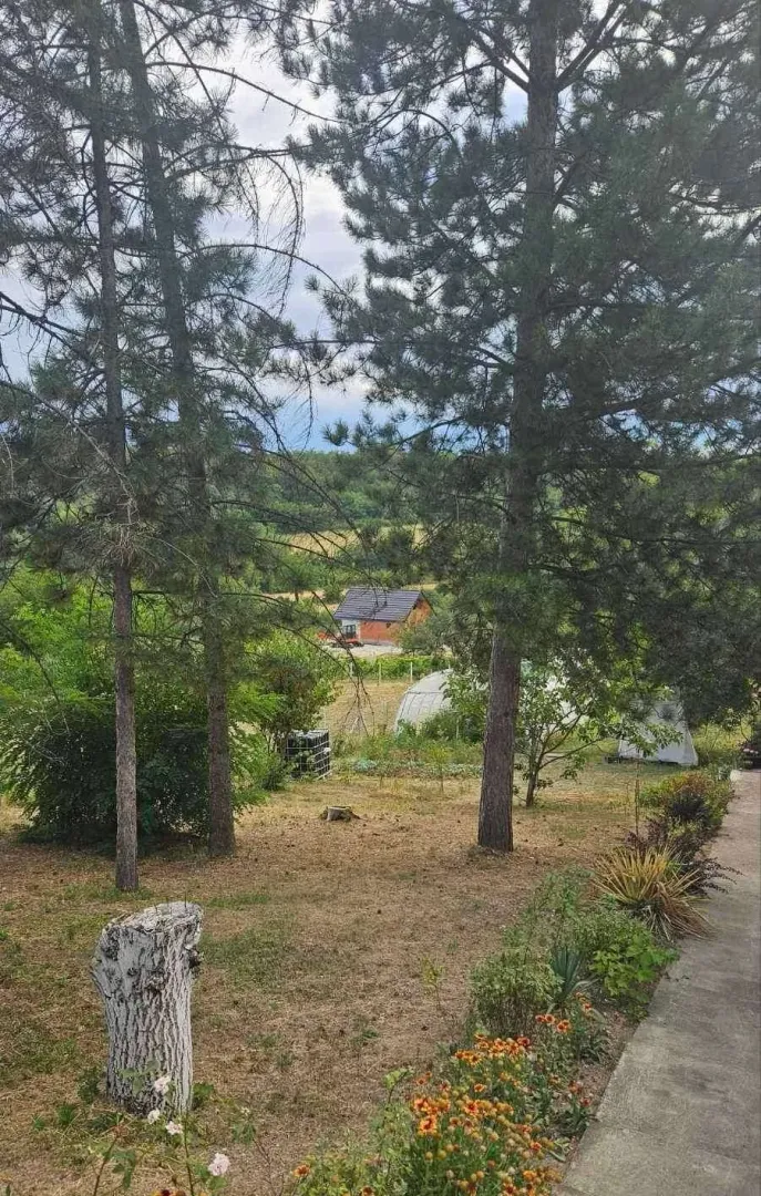 Pogled na dvorište sa kućom i drvećem.
