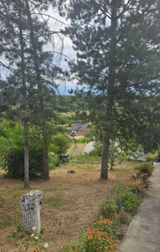 Pogled na dvorište sa kućom i drvećem. - image 6