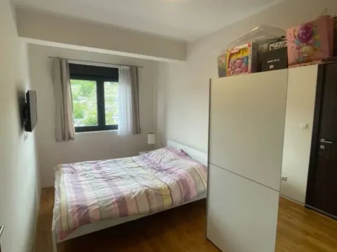 Izdavanje, jednosoban stan, 45m², Centar, Podgorica - image 4