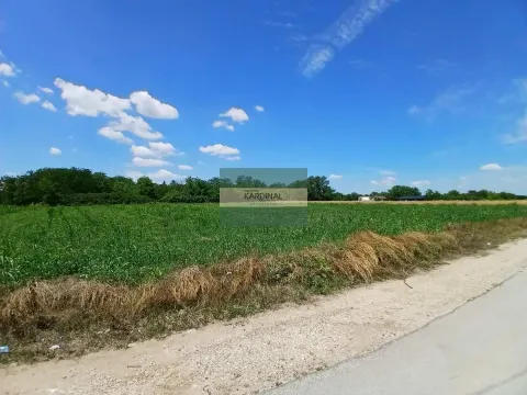 Prodaja, plac, 12747m², Vinorača, Jagodina - image 7