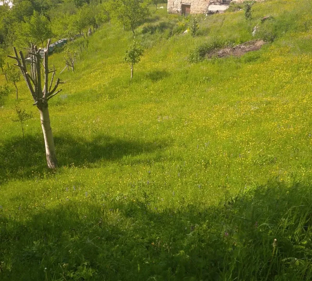 Prodaja, plac, 50263m², Plužine, Crna Gora