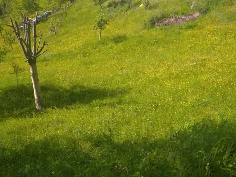 Prodaja, plac, 50263m², Plužine, Crna Gora - image 4