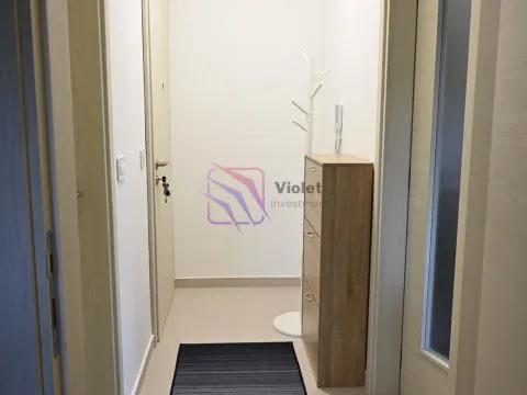 Rent, one bedroom apartment, 50m², Podgorica, Crna Gora - image 2