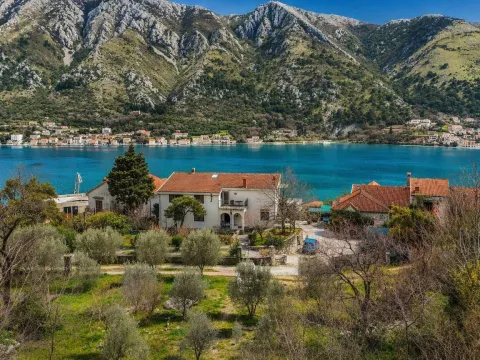 Prodaja, plac, 3200m², Dobrota, Kotor - image 3