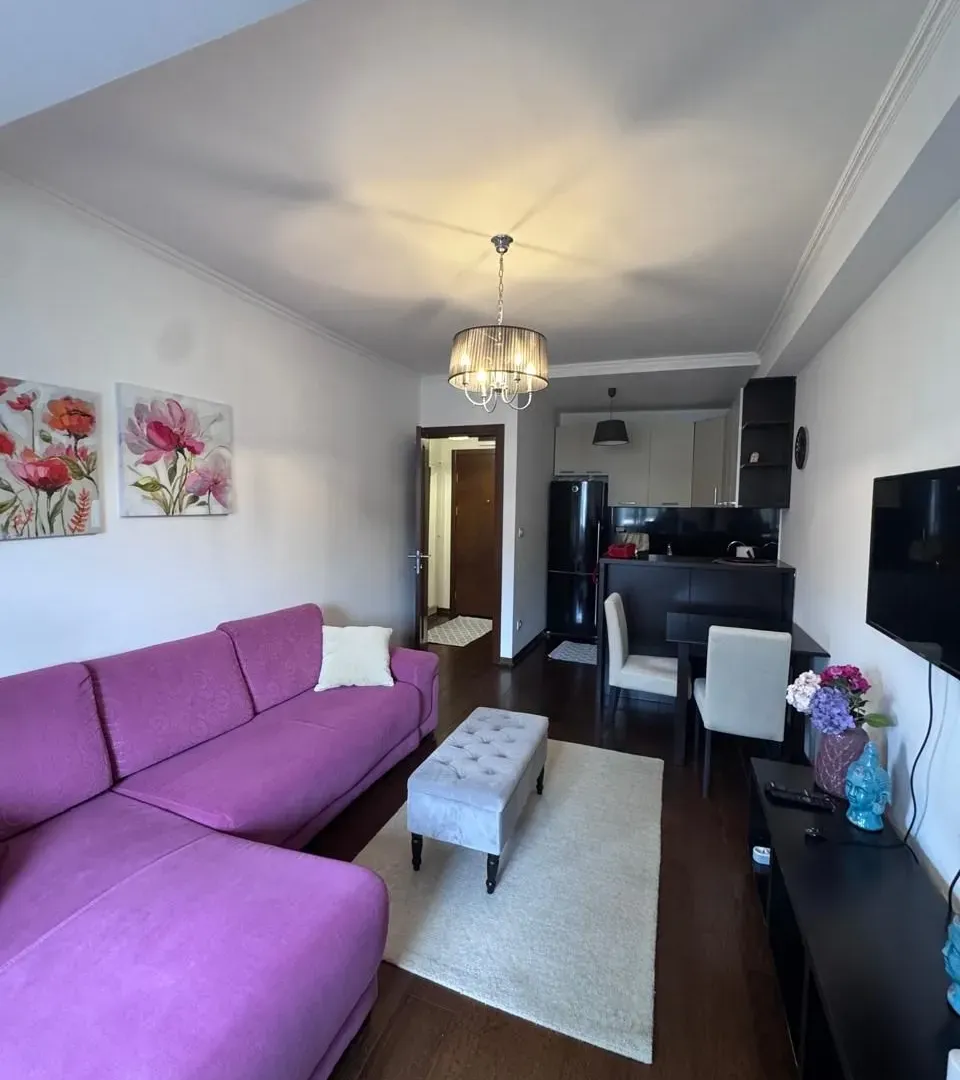 Rent, one bedroom apartment, 44m², Centar, Podgorica