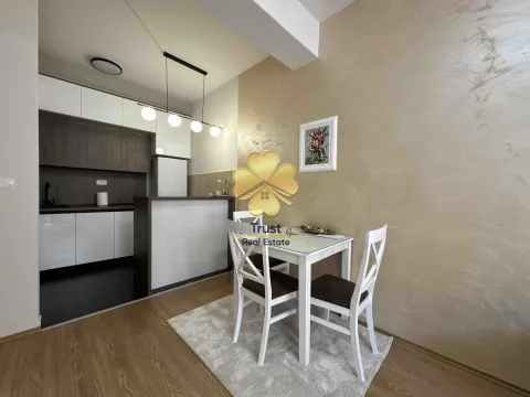 Izdavanje, jednosoban stan, 40m², Ljubović, Podgorica - image 3