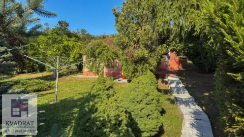 Pogled na zeleno dvorište i deo kuće okružene drvećem. - image 37