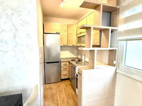 Rent, one bedroom apartment, 47m², Preko Morače, Podgorica - image 5