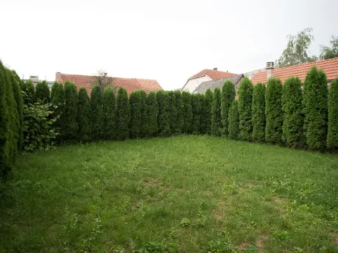 Izdavanje, jednosoban stan, 54m², Centar, Nikšić - image 3