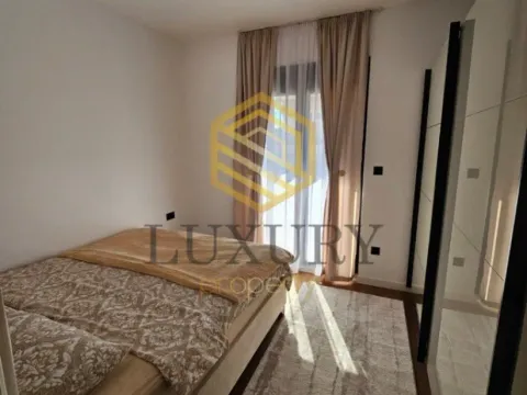 Izdavanje, jednosoban stan, 45m², Centar, Podgorica - image 4