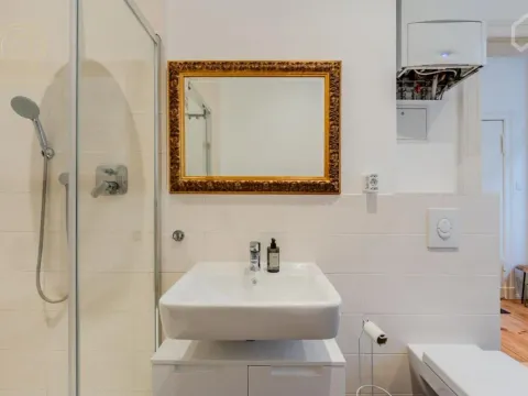 Two Bedroom Apartment for Rent, 45m2, Vračar Centar, Vračar, Beograd