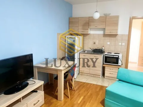 Rent, studio apartment, 29m², Stari Aerodrom, Podgorica - image 3