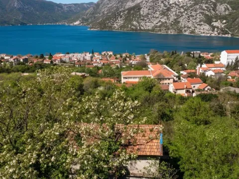 Prodaja, plac, 12941m², Risan, Kotor - image 2