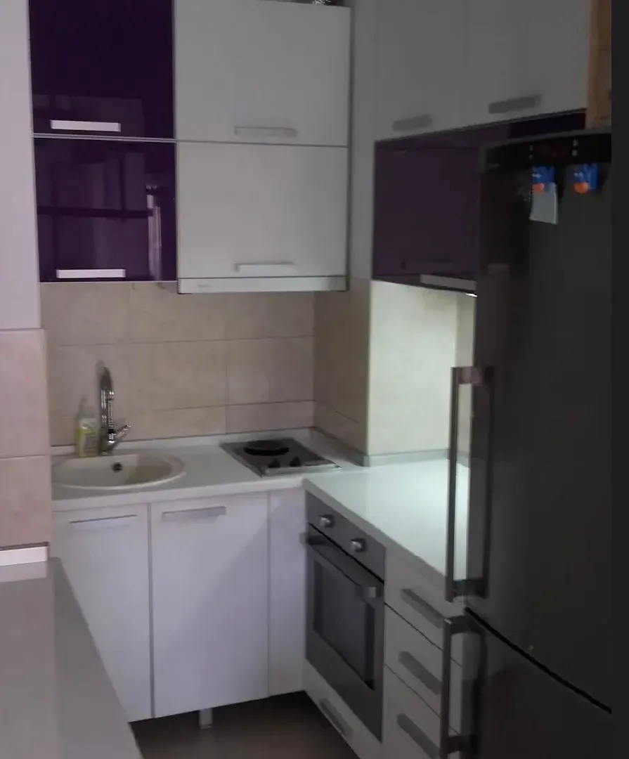 Izdavanje, dvosoban stan, 55m², Vračar Sve Podlokacije, Beograd
