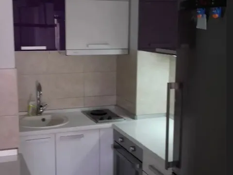 Izdavanje, dvosoban stan, 55m², Vračar Sve Podlokacije, Beograd - image 7
