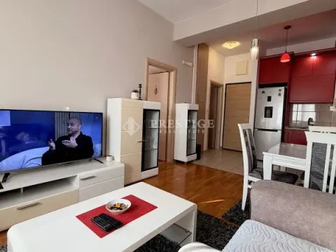 Izdavanje, jednosoban stan, 42m², Ljubović, Podgorica - image 3