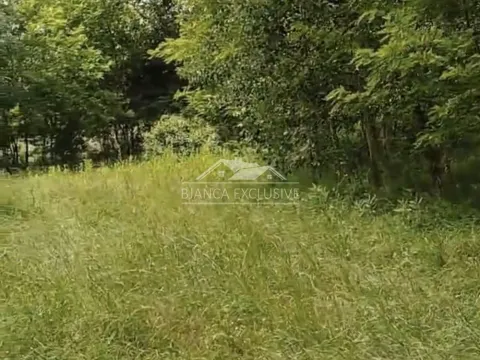 Sale, land lot, 3600m², Trstenica, Obrenovac - image 6