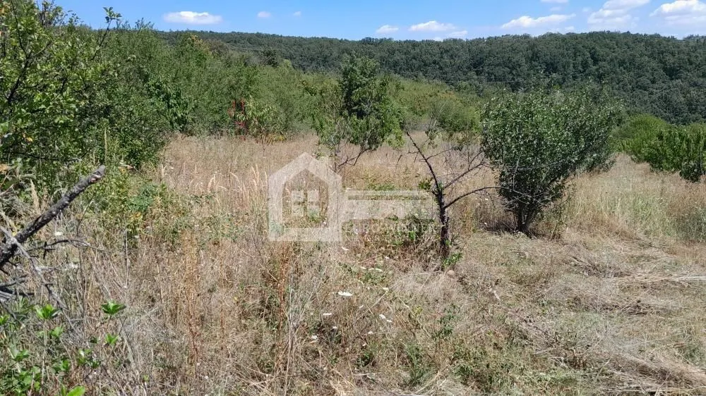 Prodaja, plac, 8000m², Voždovac Sve Podlokacije, Beograd
