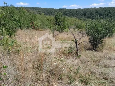 Prodaja, plac, 8000m², Voždovac Sve Podlokacije, Beograd - image 3